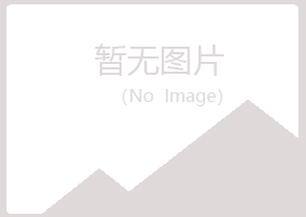 沈阳和平冰夏设计有限公司